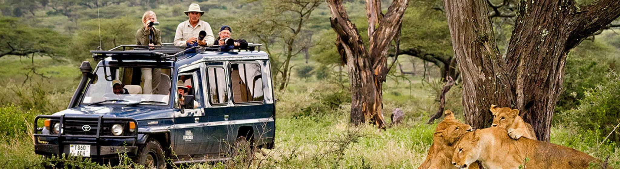 Tanzania Safaris and Beach Vacations - Safanta Tours & Travel Company Limited