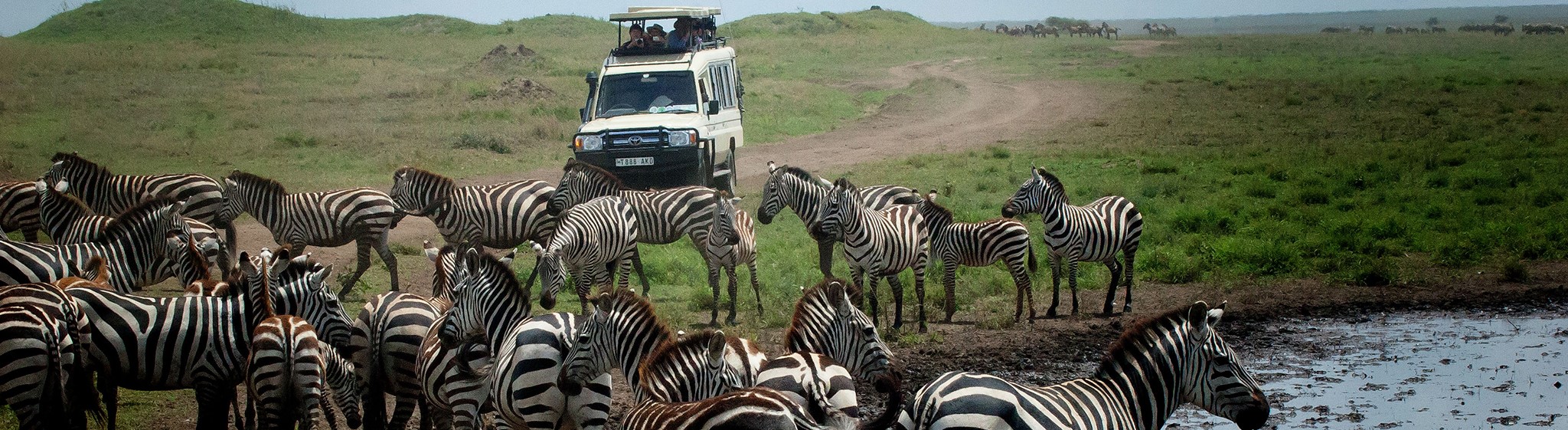 Tanzania Safaris and Beach Vacations - Safanta Tours & Travel Company Limited