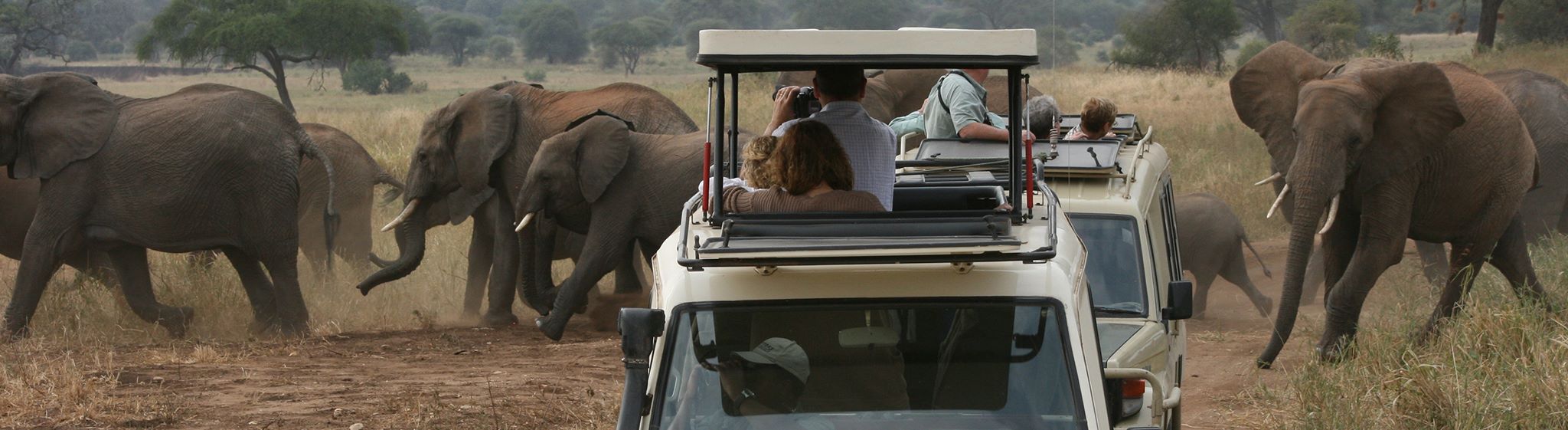 Tanzania Safaris and Beach Vacations - Safanta Tours & Travel Company Limited