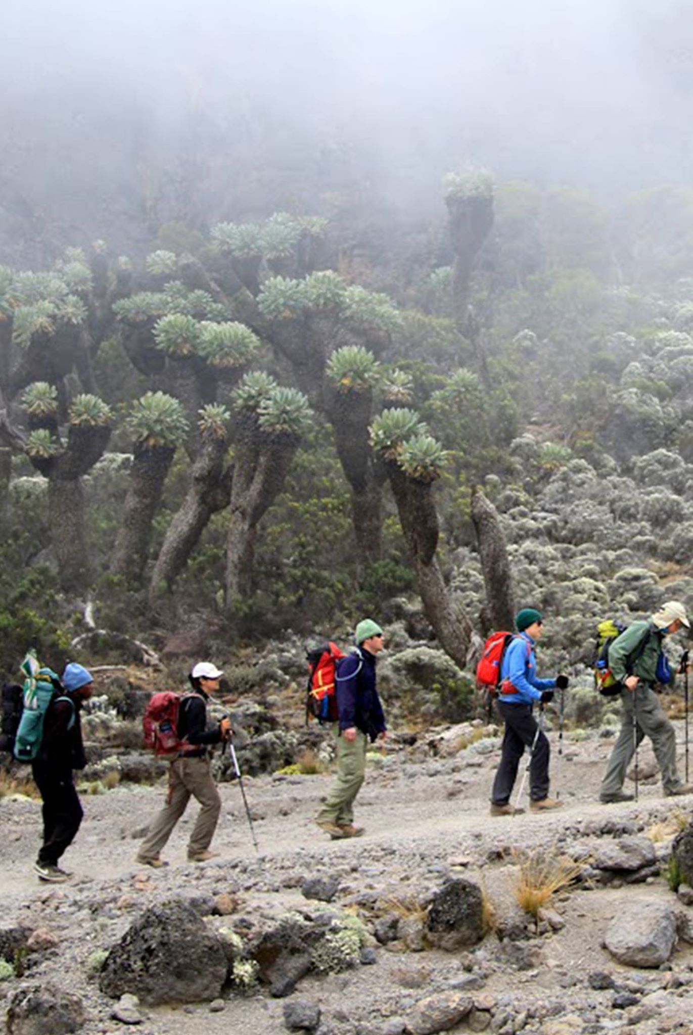 Mount Kilimanjaro & Beach Leisure