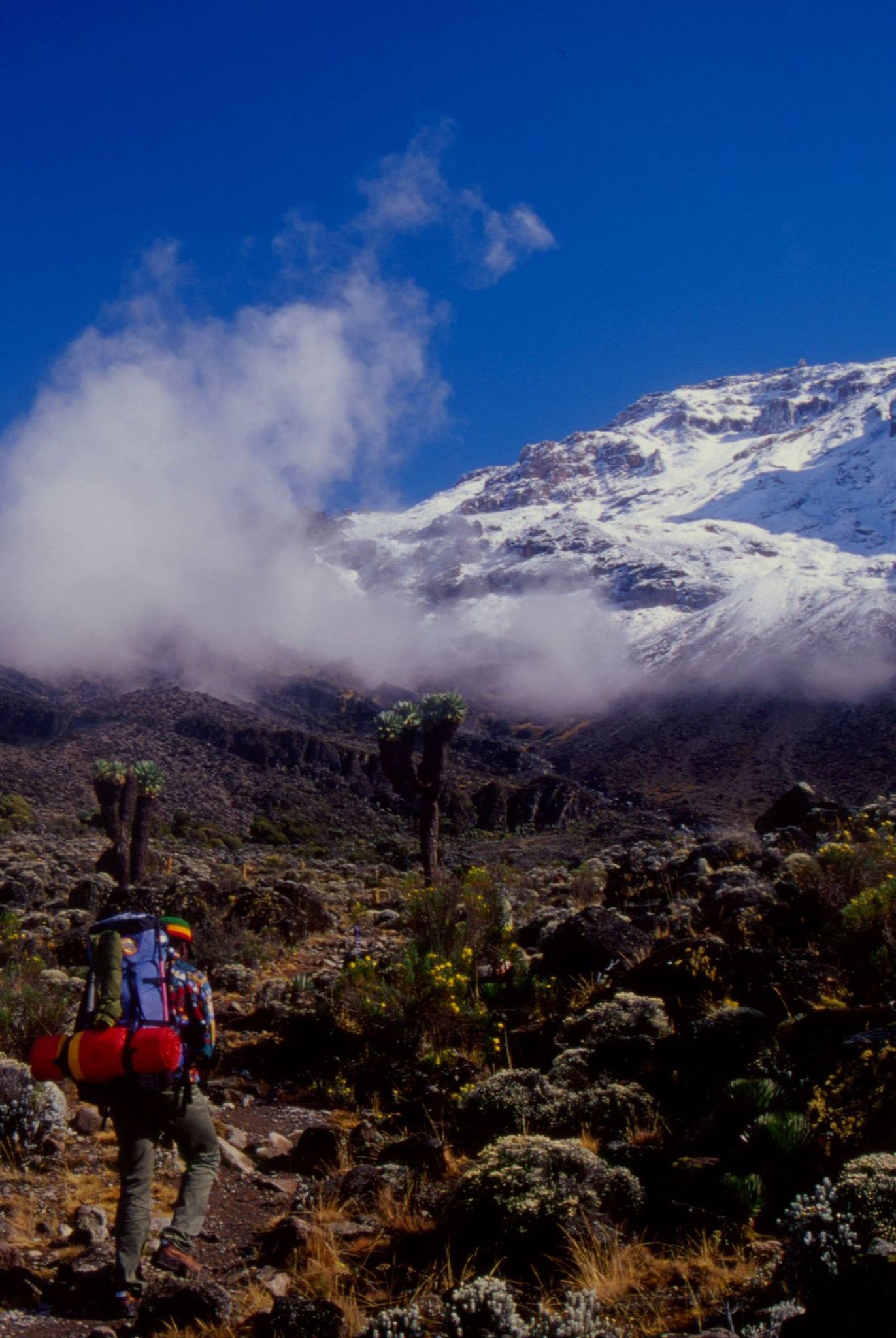 Mount Kilimanjaro & Beach Leisure