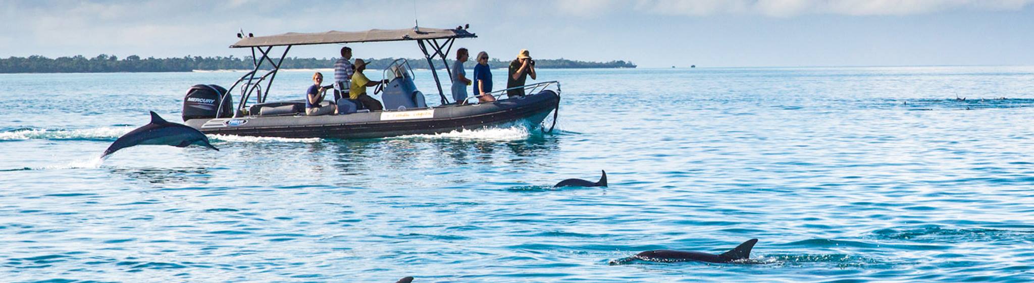 Kizimkazi Dolphin Tour - Safanta Tours & Travel Company Limited