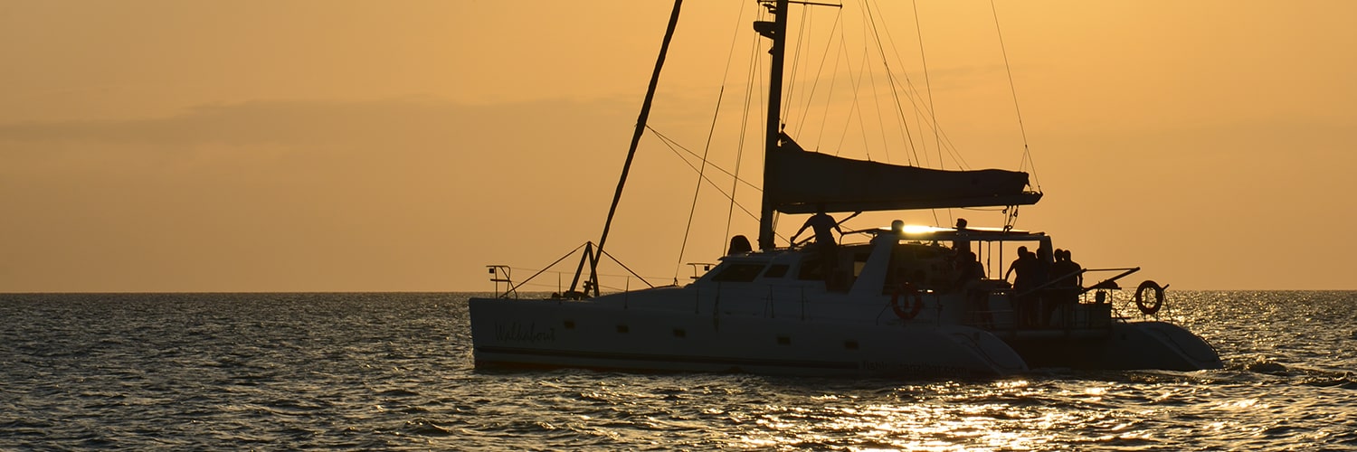 catamaran trips in zanzibar